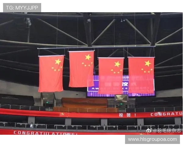 广州羽毛球队逆袭总决赛的辉煌历程与背后故事揭秘